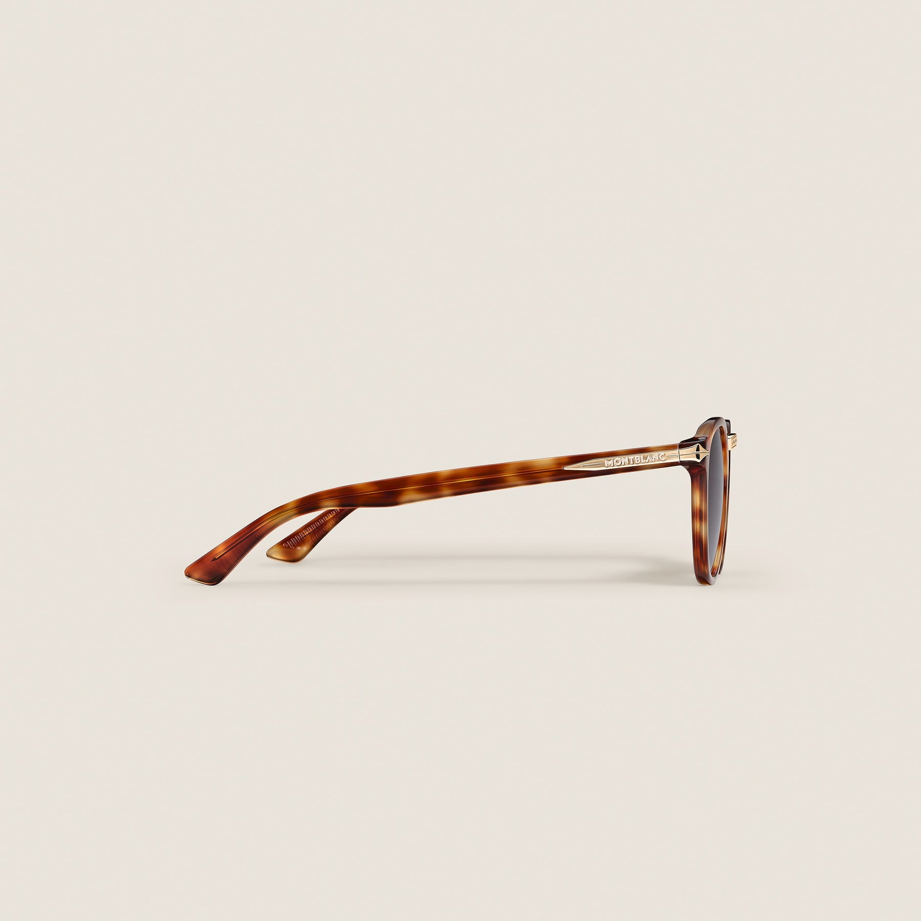 Round Sunglasses with Havana Acetate Frame